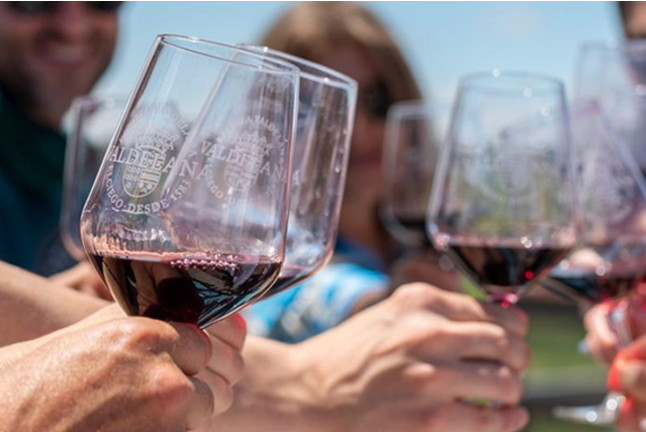Visita Guiada a Bodegas Valdelana y Museo del Vino con Cata de Vino y Aceite para dos (Álava)