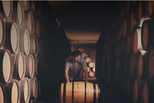 Visita Guiada a Bodegas Valdelana y Museo del Vino con Cata de Vino y Aceite para dos (Álava)