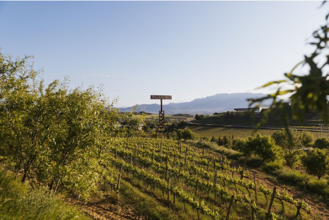 Visita Privada y Cata de Vino para dos en Bodega Valenciso (La Rioja)