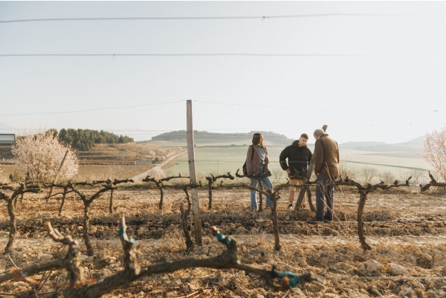 Visita Privada y Cata de Vino para dos en Bodega Valenciso (La Rioja)
