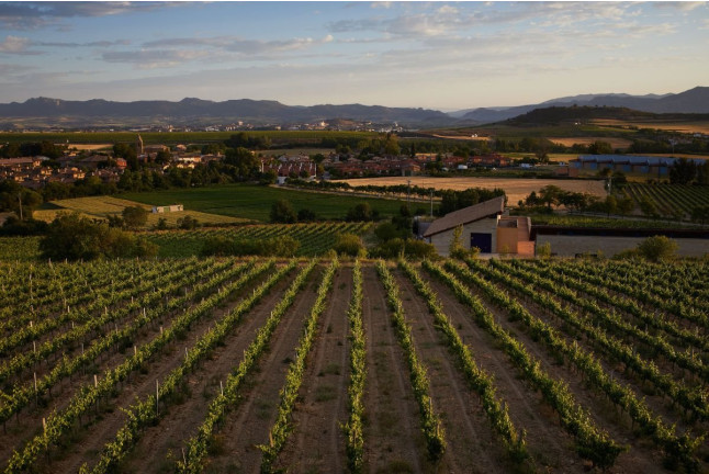 Visita Privada y Cata de Vino para dos en Bodega Valenciso (La Rioja)