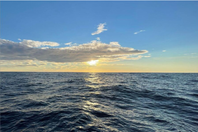 Puesta de Sol en Velero Privado con Paddle Surf, Snorkel, Bebidas y Aperitivo para dos (Badalona, Barcelona)