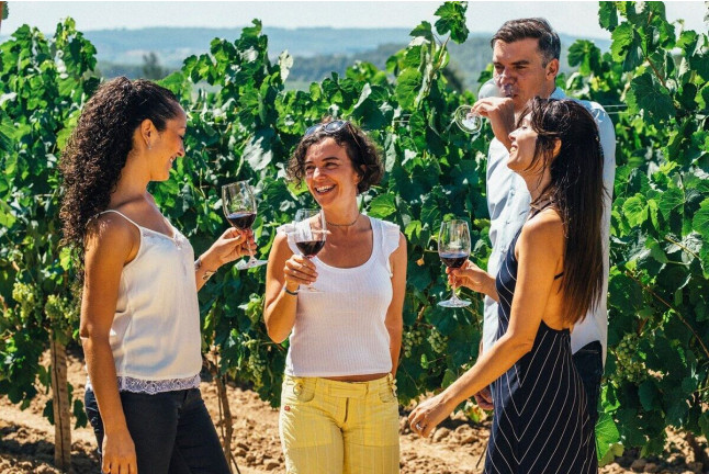 Velero & Alella Winery Tour: Salida en Velero y Visita a Bodega (Barcelona)