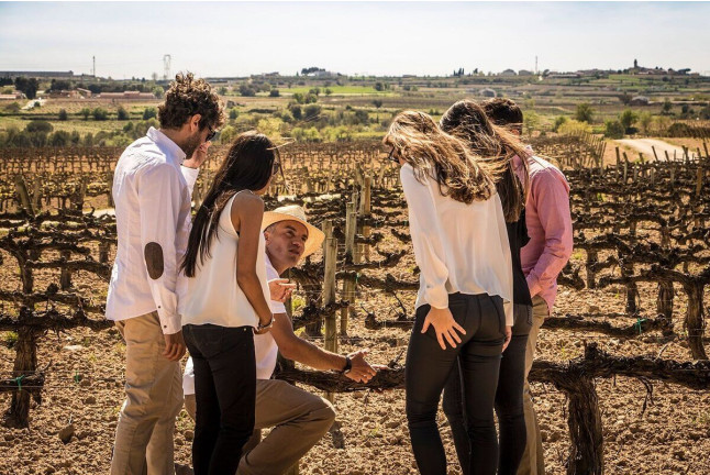 Velero & Alella Winery Tour: Salida en Velero y Visita a Bodega (Barcelona)