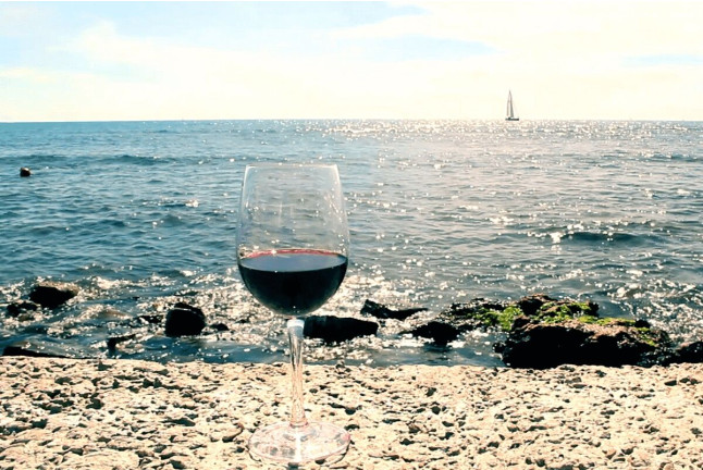Velero & Alella Winery Tour: Salida en Velero y Visita a Bodega (Barcelona)