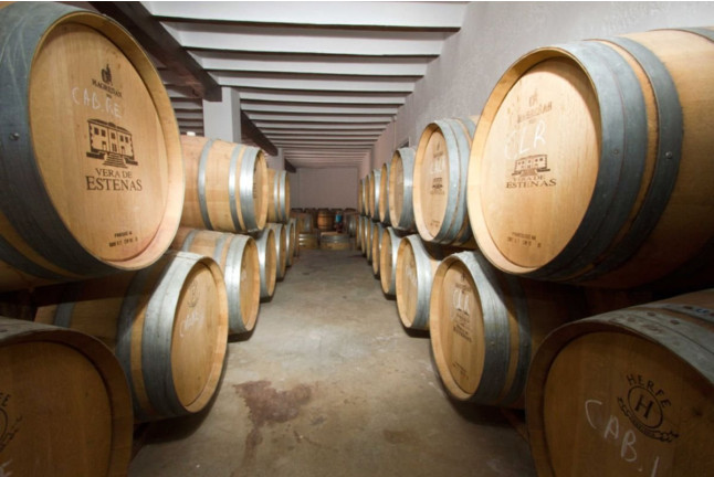 Estenas GastroExperience: Visita a Viñedo y Bodega Vera de Estenas con Cata de Vinos y Comida para dos (Utiel, Valencia)