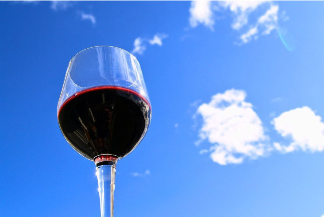 Estenas GastroExperience: Visita a Viñedo y Bodega Vera de Estenas con Cata de Vinos y Comida para dos (Utiel, Valencia)