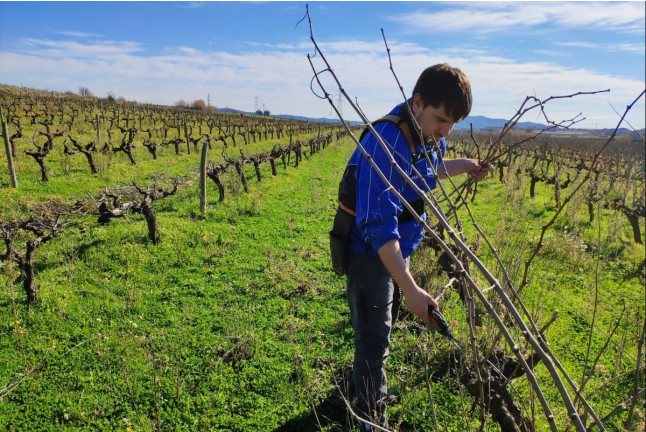 Ruta en Vespa Entre Viñedos en Mulet Viticultors (Santa Fe del Penedès, Barcelona)