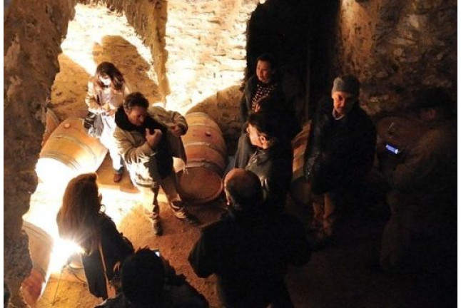 Visita a Bodega Kirios de Adrada con Cata de Vino y Comida para dos (Burgos)