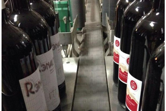 Visita a Bodega Renalterra y Cata de Vino Crianza Ribera del Duero con Aperitivo para dos (Gumiel de Izán, Burgos)