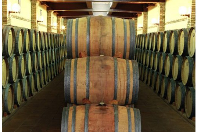 Bodegas Real: Visita a Viñedos con Cata de 2 Vinos para dos (Valdepeñas, Ciudad Real)