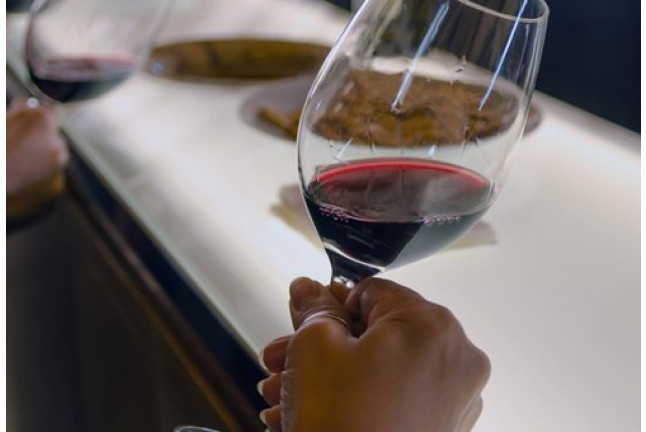 Bodegas Real: Visita a Viñedos con Cata de 2 Vinos para dos (Valdepeñas, Ciudad Real)
