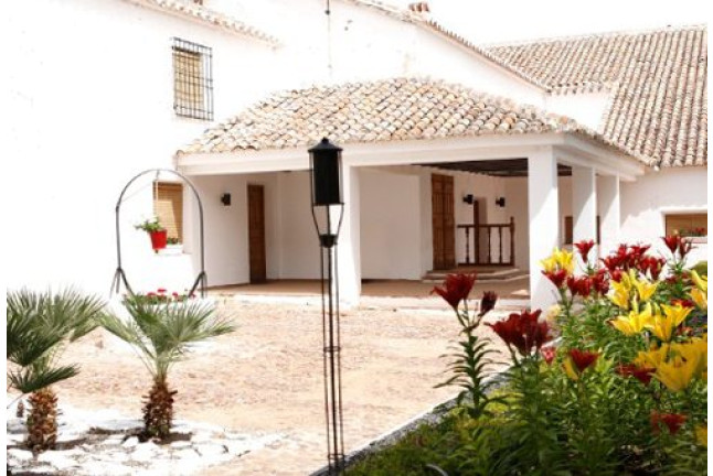Bodegas Real: Visita a Viñedos con Cata de 2 Vinos para dos (Valdepeñas, Ciudad Real)