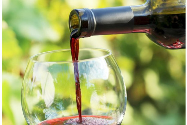 Visita a Bodegas Saavedra, Cata de Vino, Cata de Aceite, Maridaje y Comida para dos (Madrid)
