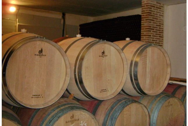 Visita a Bodegas Saavedra, Cata de Vino, Cata de Aceite, Maridaje y Comida para dos (Madrid)