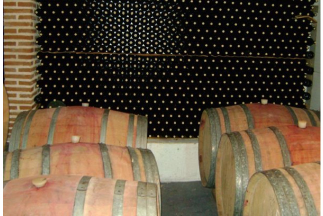 Visita a Bodegas Saavedra, Cata de Vino, Cata de Aceite, Maridaje y Comida para dos (Madrid)