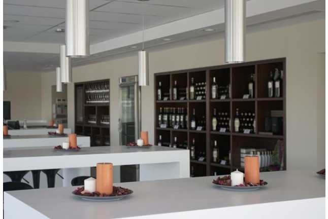 Visita a las Bodegas Viore con Cata de Vino y Aperitivo para dos (Rueda, Valladolid)