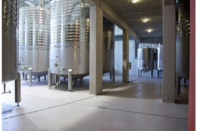 Visita a las Bodegas Viore con Cata de Vino y Aperitivo para dos (Rueda, Valladolid)