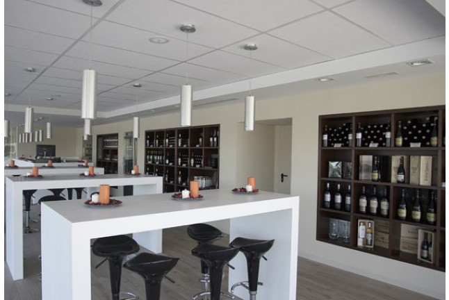 Visita a las Bodegas Viore con Cata de Vino y Aperitivo para dos (Rueda, Valladolid)