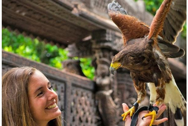 Discovery Rapaces: Visita Guiada para ver Aves Rapaces en Terra Natura Benidorm (Alicante)