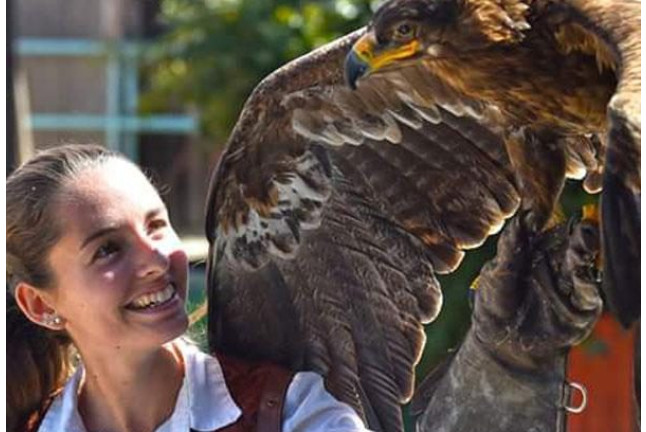 Discovery Rapaces: Visita Guiada para ver Aves Rapaces en Terra Natura Benidorm (Alicante)