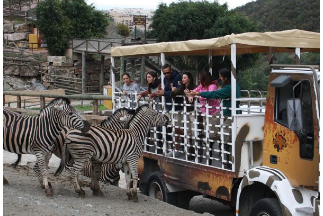 Visita al Safari Serengueti en Selwo Aventura Estepona (Málaga)
