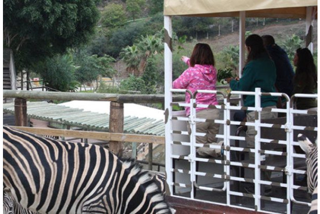 Visita al Safari Serengueti en Selwo Aventura Estepona (Málaga)