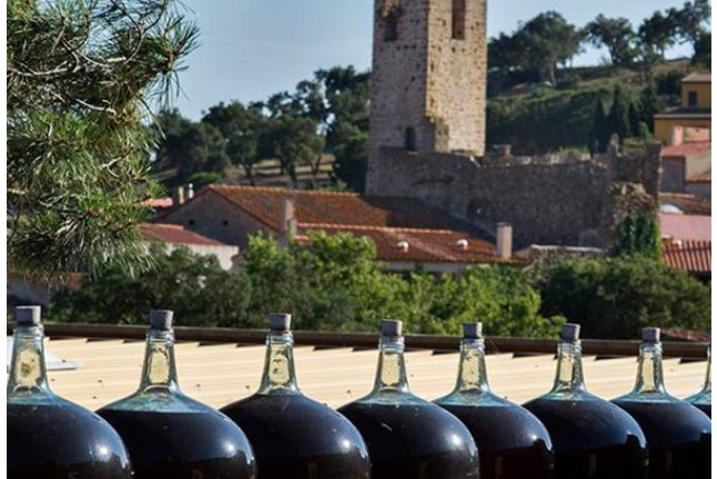 Visita a Celler Vinyes dels Aspres con Cata de Vinos y Degustación a Elegir para dos (Cantallops, Girona)