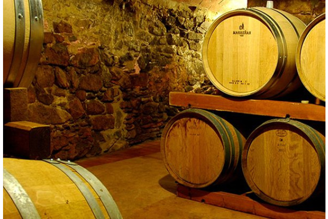 Visita a Celler Vinyes dels Aspres con Cata de Vinos y Degustación a Elegir para dos (Cantallops, Girona)