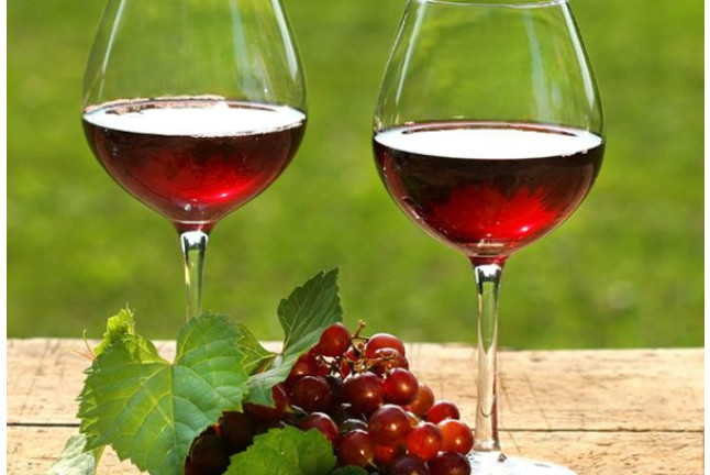 Visita a Celler Vinyes dels Aspres con Cata de Vinos y Degustación a Elegir para dos (Cantallops, Girona)