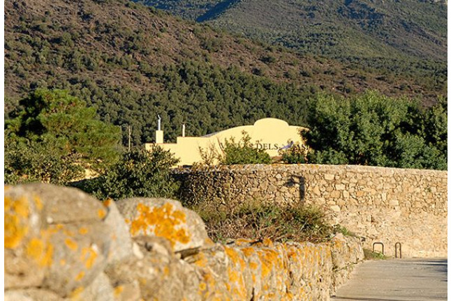 Visita a Celler Vinyes dels Aspres con Cata de Vinos y Degustación a Elegir para dos (Cantallops, Girona)