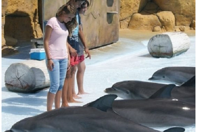 Experiencia con Animales: Visita VIP a Selwo Marina Delfinarium en Exclusiva (Benálmadena, Málaga)
