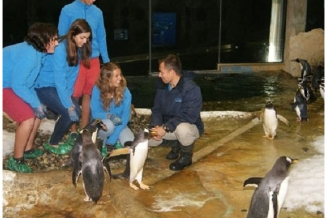 Experiencia con Animales: Visita VIP a Selwo Marina Delfinarium en Exclusiva (Benálmadena, Málaga)