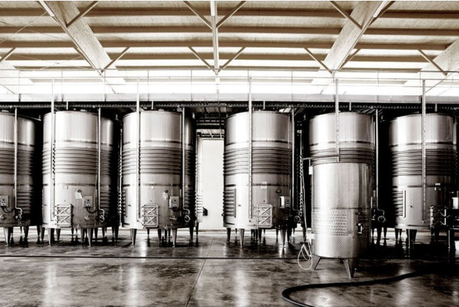 Cata Pans y Vins: Cata de Vino con Maridaje de Panes Especiales en Bodegas Vi Rei (Mallorca)