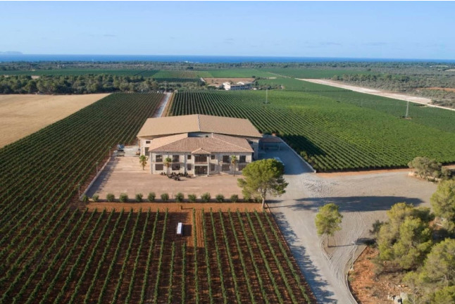 Chocowine: Cata de Vino y Chocolate para dos en Bodega Vi Rei (Mallorca)