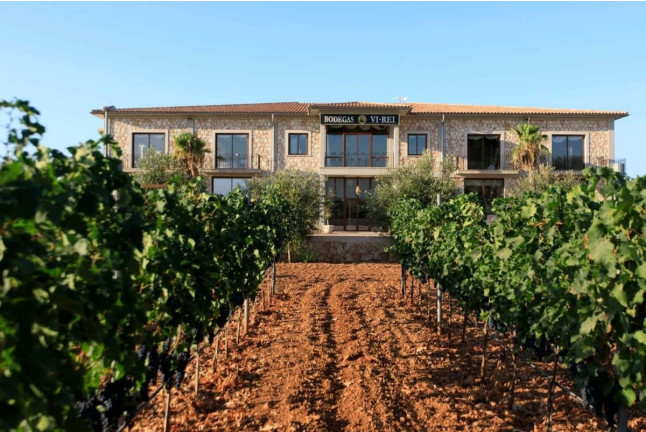 Chocowine: Cata de Vino y Chocolate para dos en Bodega Vi Rei (Mallorca)
