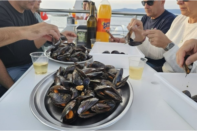 Paseo en Catamarán y Visita a los Viveros de Clóchina con Degustación (Valencia)