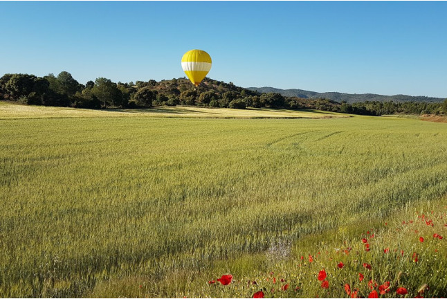 Viaje en Globo con Almuerzo, Champagne y Fotos (Teruel)