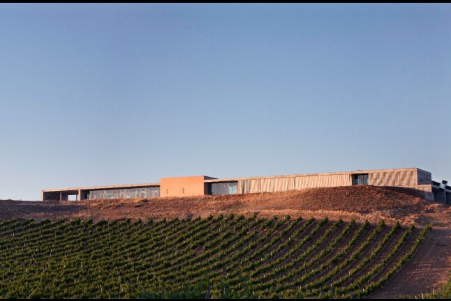 Viaje en Globo con Almuerzo y Fotos y Visita a Bodega con Cata de Vinos en Finca Montepedroso (Valladolid)