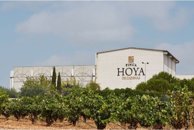 Visita a Bodegas Vicente Gandía con Cata de Vinos y Tabla de Quesos y Embutidos para dos (Las Cuevas de Utiel, Valencia)