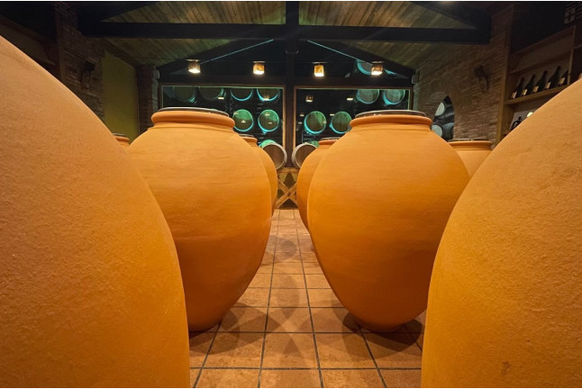 Visita a Bodegas Vicente Gandía con Cata de Vinos y Tabla de Quesos y Embutidos para dos (Las Cuevas de Utiel, Valencia)
