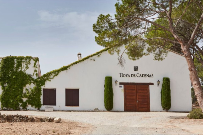 Visita a Bodegas Vicente Gandía con Cata de Vinos y Tabla de Quesos y Embutidos para dos (Las Cuevas de Utiel, Valencia)