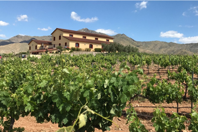 Escapada en Villas Perfer y Visita a Bodegas Perfer con Cata de Vinos y Comida (Uleila del Campo, Almería)