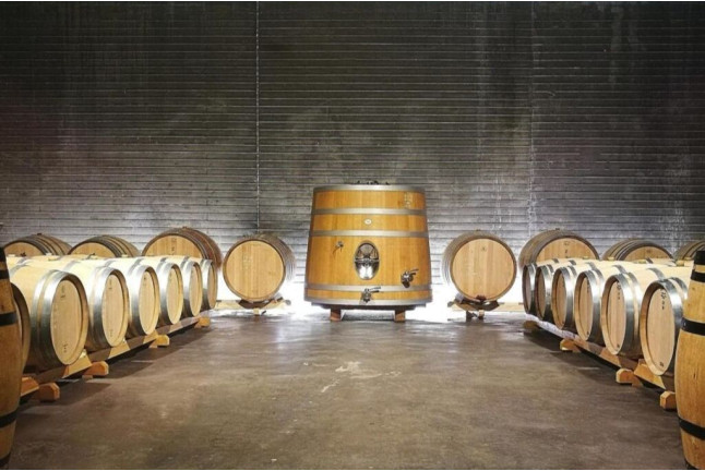 Escapada al Vilosell Wine Hotel con visita al Celler Tomàs Cusiné (Lleida)