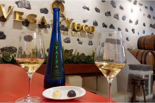 Tour por Viñedo con Cata de Vinos y Maridaje de Chocolate Artesanal en Finca Testeina -  Bodegas Vega de Yuco (Masdache, Lanzarote)