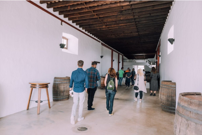 Tour por Viñedo con Cata de Vinos y Maridaje de Chocolate Artesanal en Finca Testeina -  Bodegas Vega de Yuco (Masdache, Lanzarote)