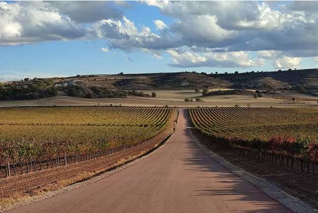 Visita a Bodegas Viña Arnáiz y Cata de Vinos (Haza, Burgos)