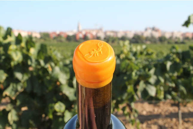 Paseo por los Viñedos con Desayuno de Payés y Cata de 3 Vinos en Mulet Viticultors (Santa Fe del Penedès, Barcelona)