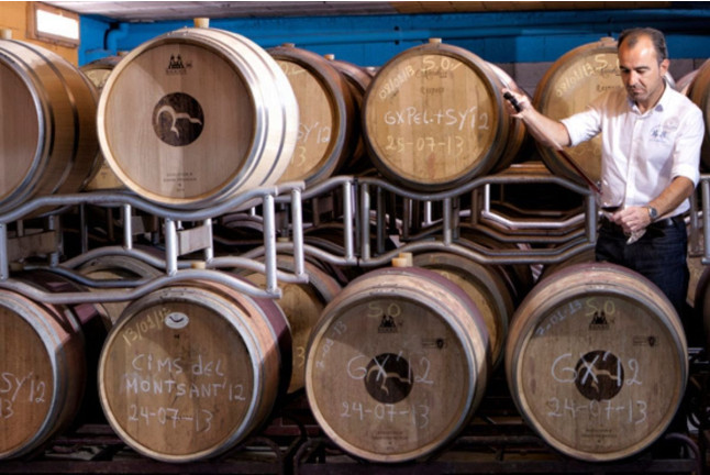 Visita a Viñedos en 4x4, Bodega, Cata de Vinos, Aperitivo y Comida en Cellers Baronia del Montsant (Tarragona)