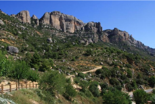 Visita a Viñedos en 4x4, Bodega, Cata de Vinos, Aperitivo y Comida en Cellers Baronia del Montsant (Tarragona)